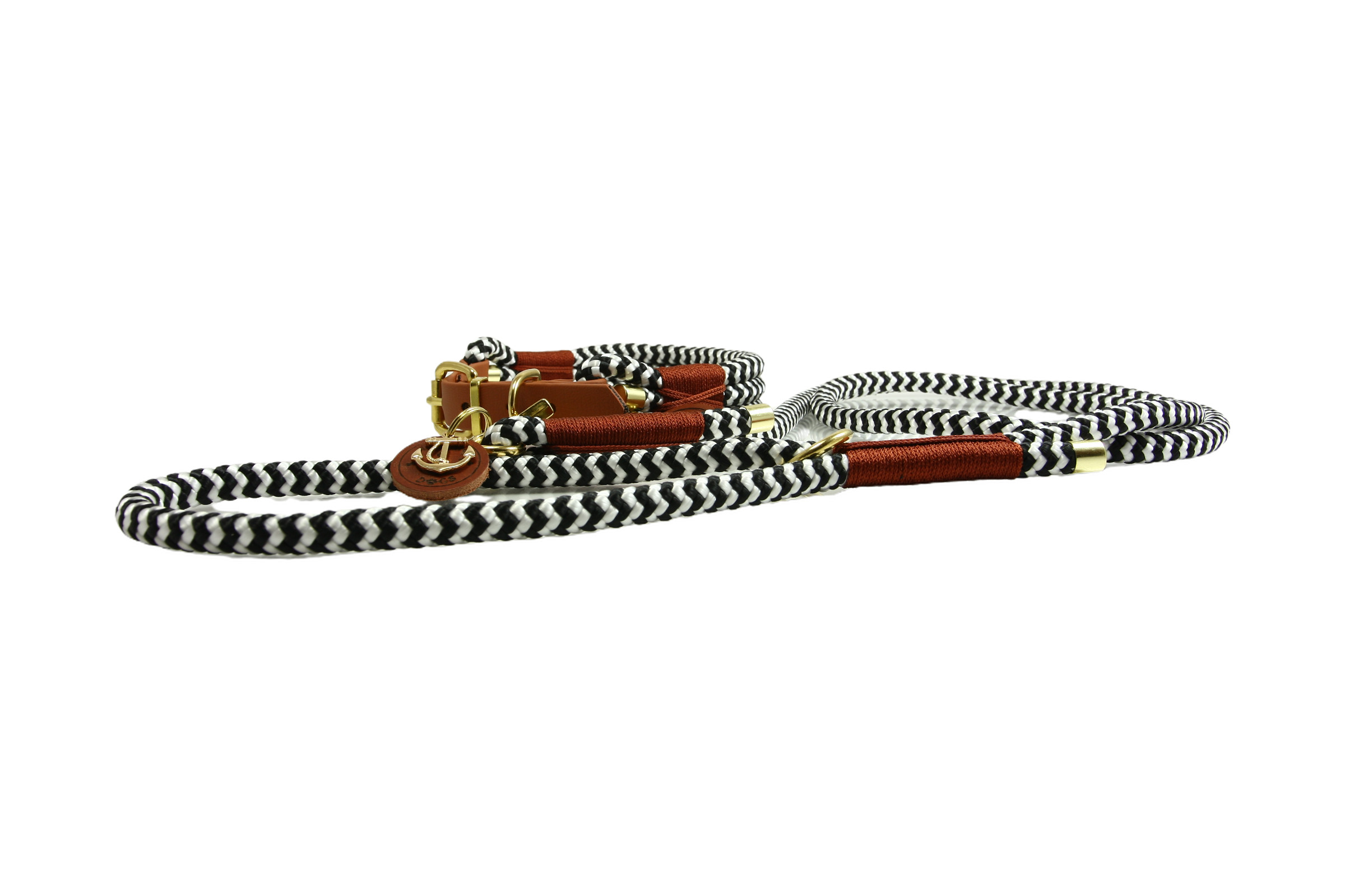 Hundehalsband und Leinen Set Zebra Spirit