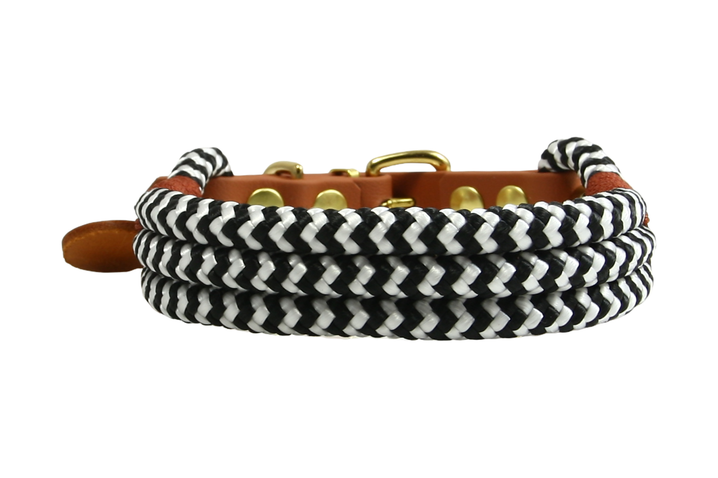 Hundehalsband Zebra Spirit
