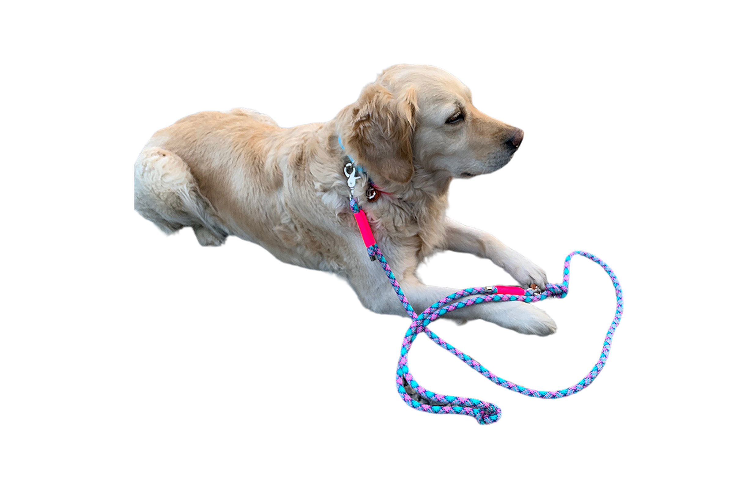 Set Tristan Frozen Fairy