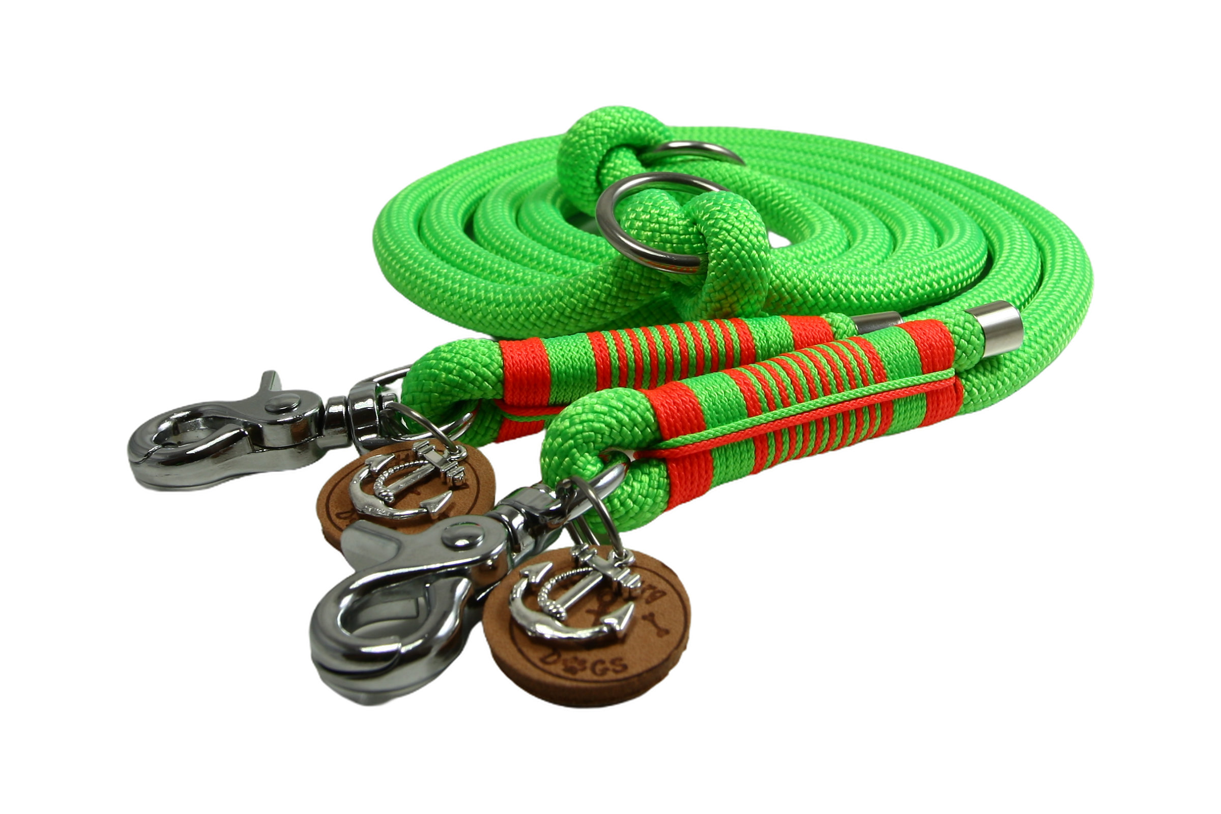 Dogs leash vivid vibes