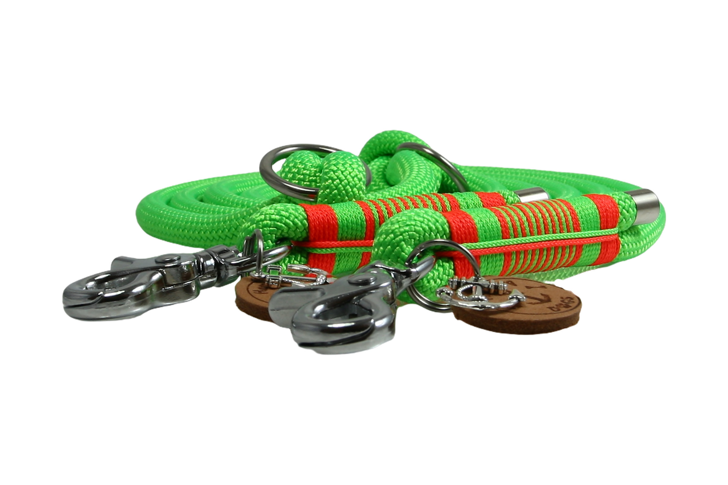 Dogs leash vivid vibes