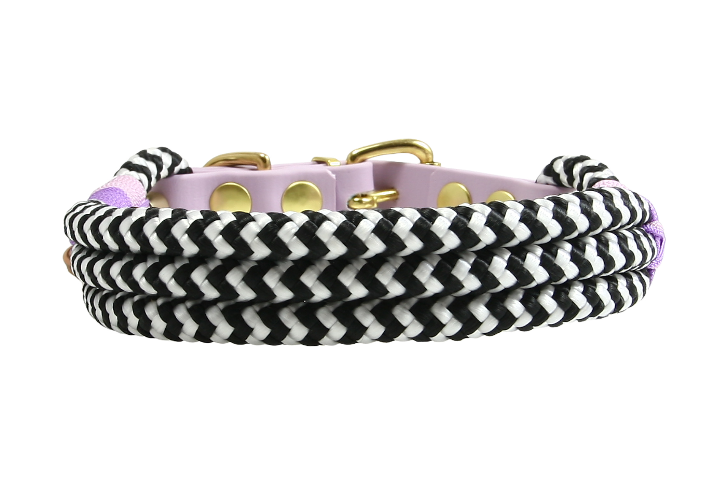 Collar Zebra Violet Horizon