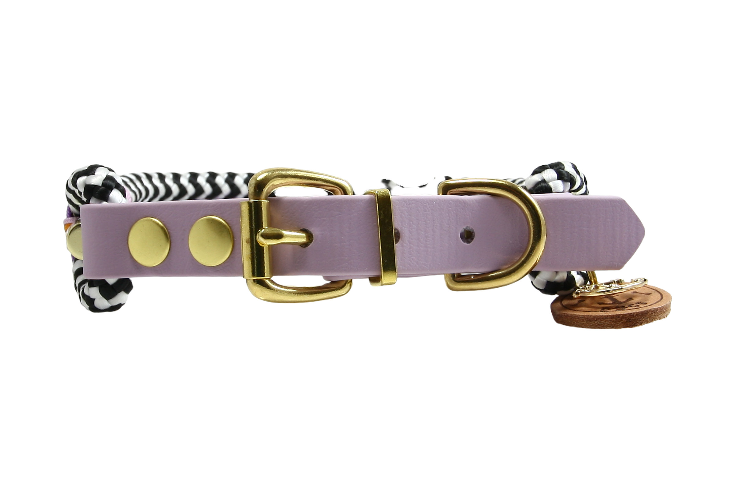 Collar Zebra Violet Horizon