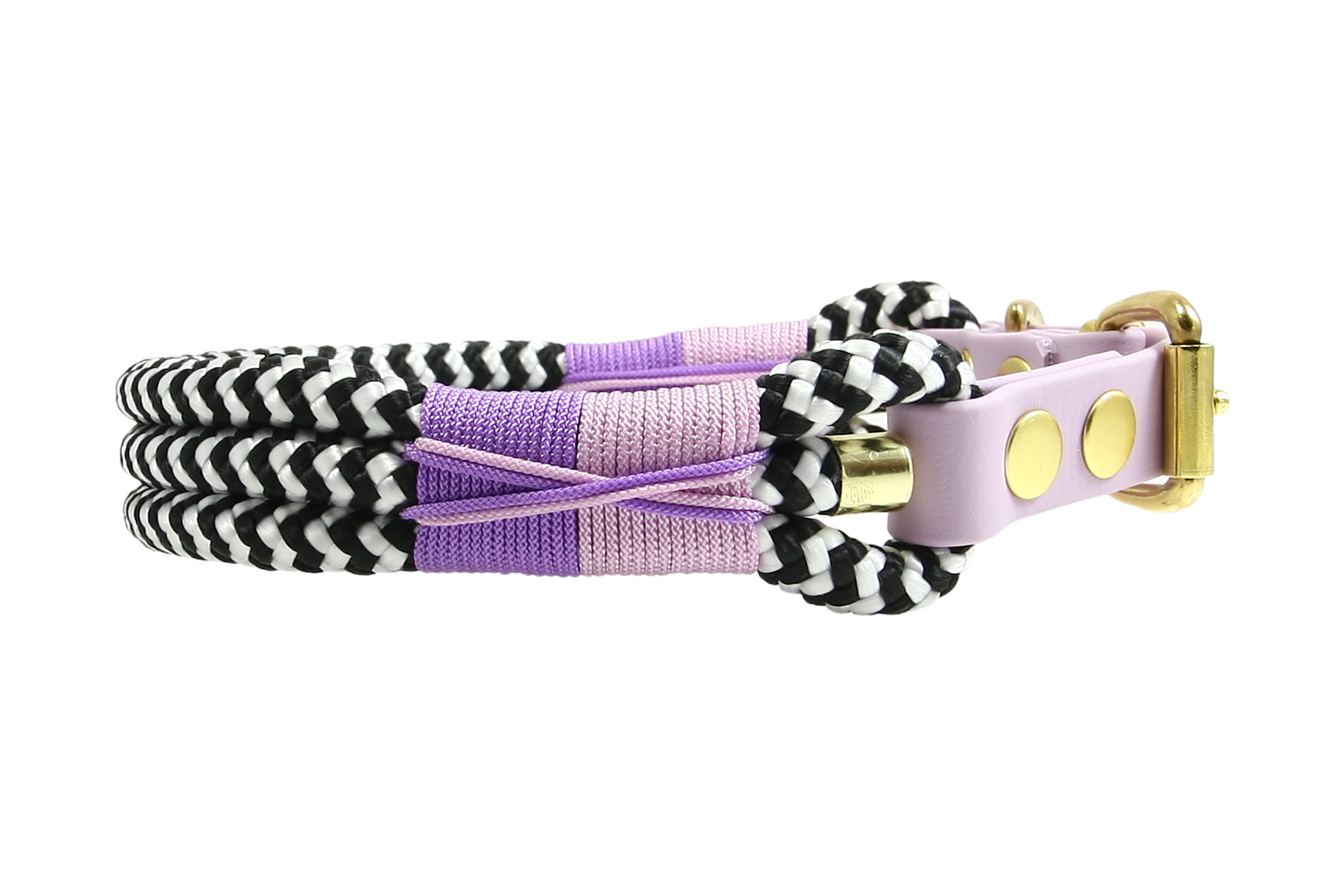 Collar Zebra Violet Horizon
