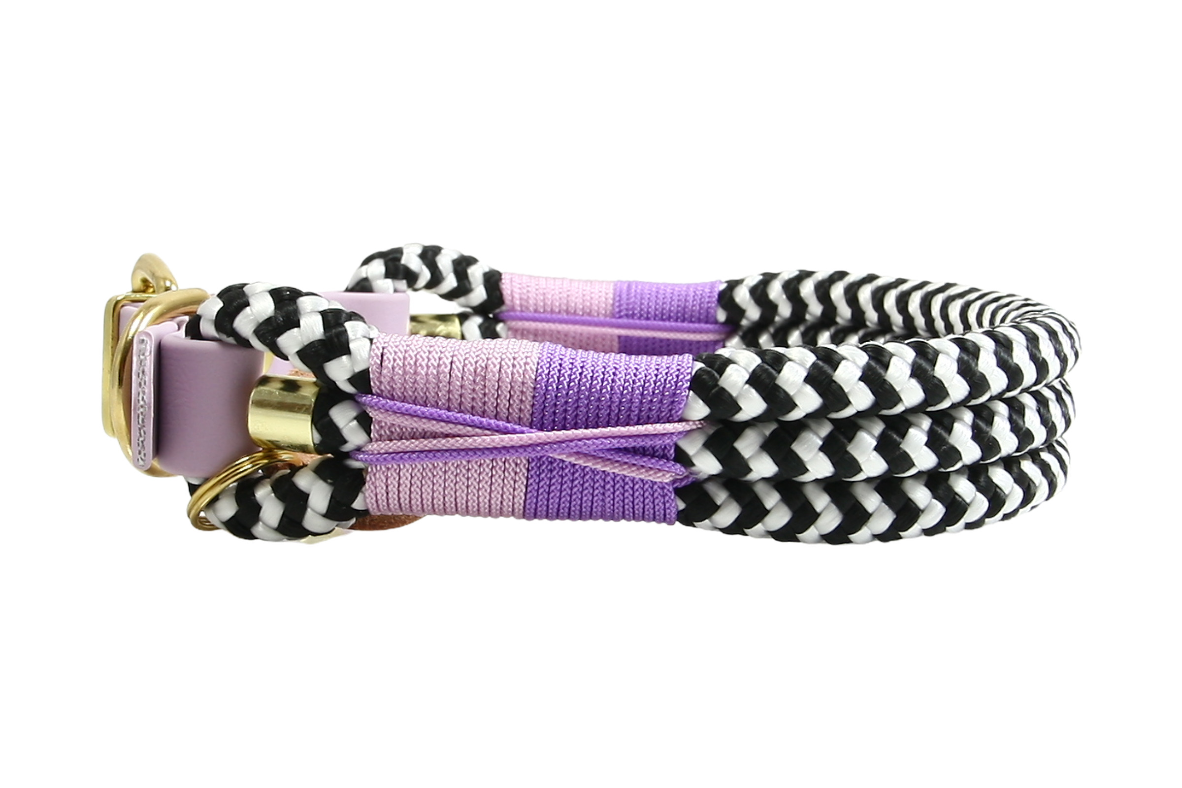Collar Zebra Violet Horizon