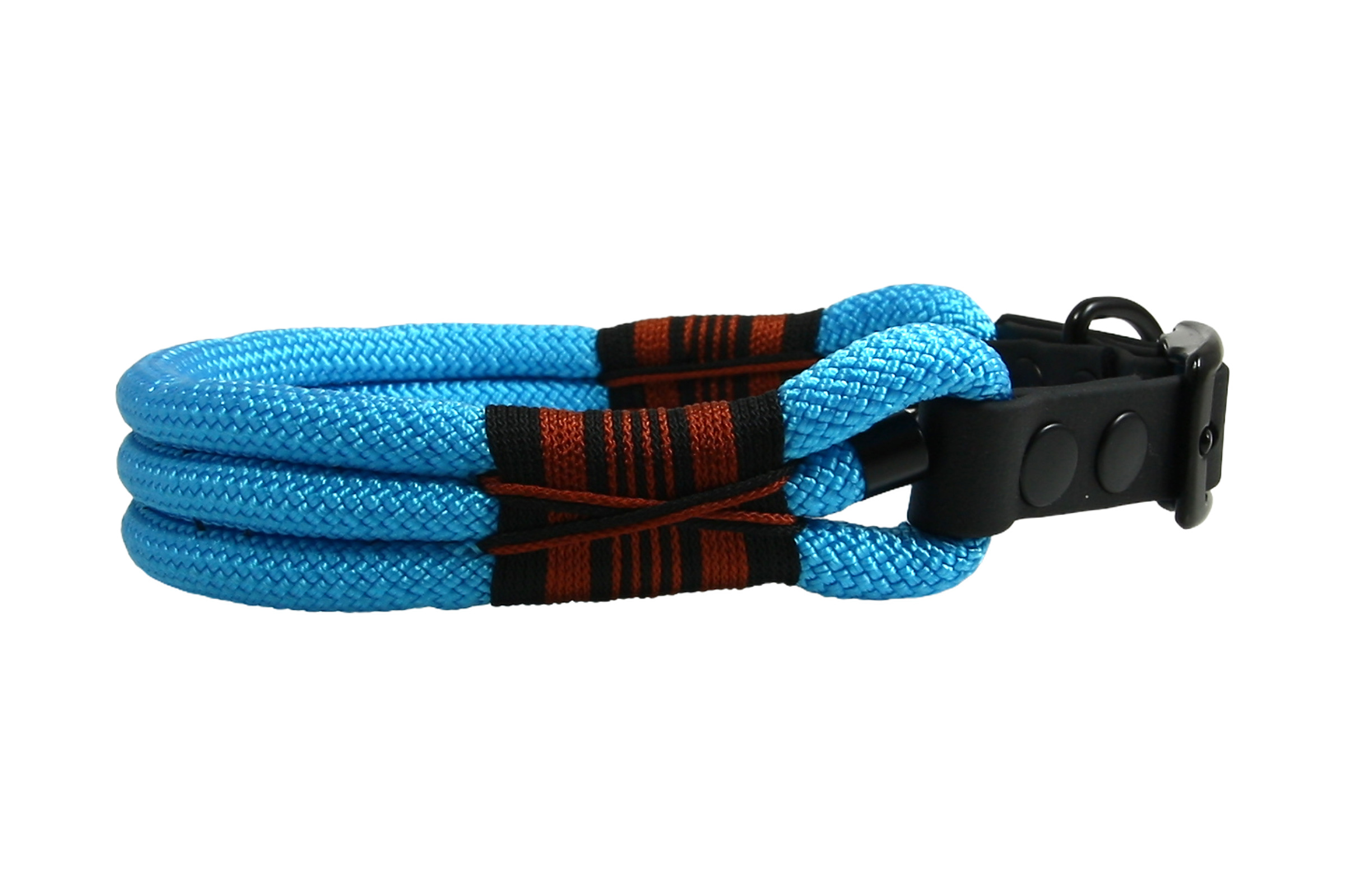 Dogs leash vivid vibes