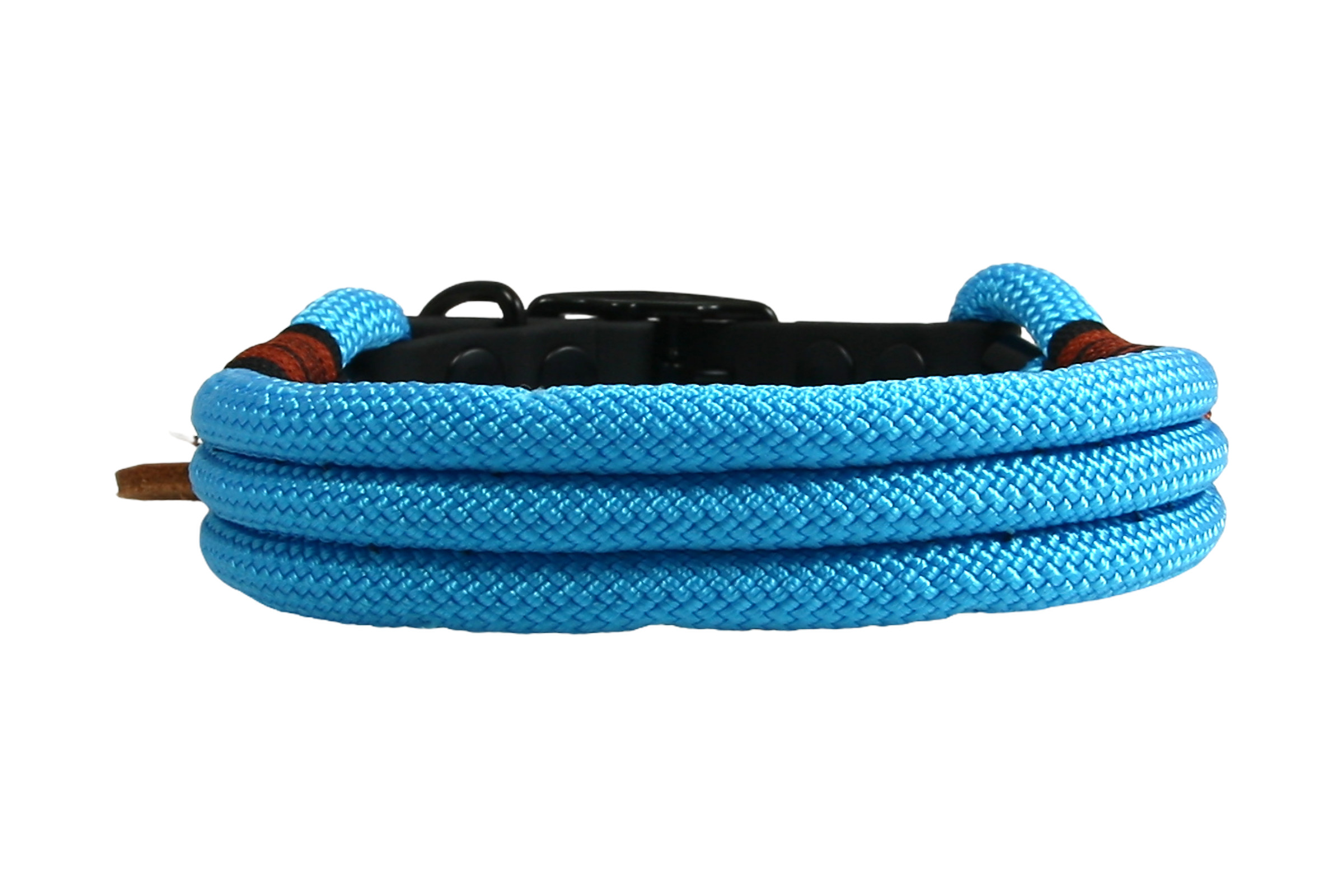 Dogs leash vivid vibes