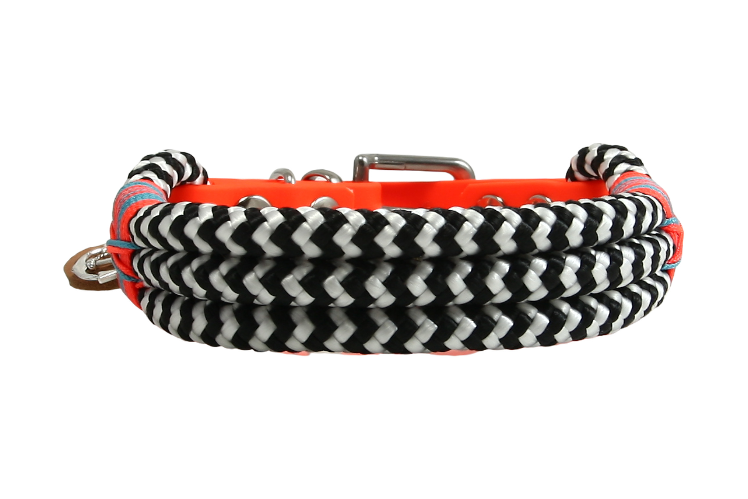 Hundehalsband Zebra Blaze