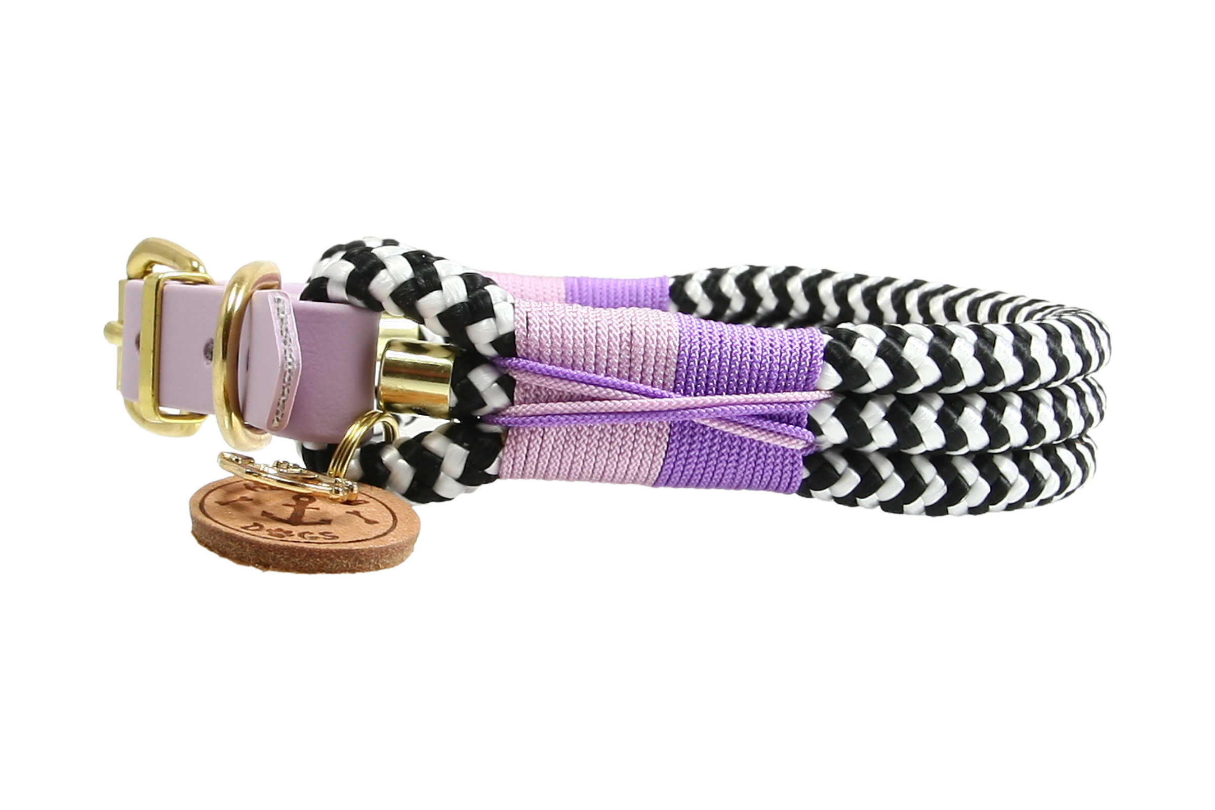 Collar Zebra Violet Horizon