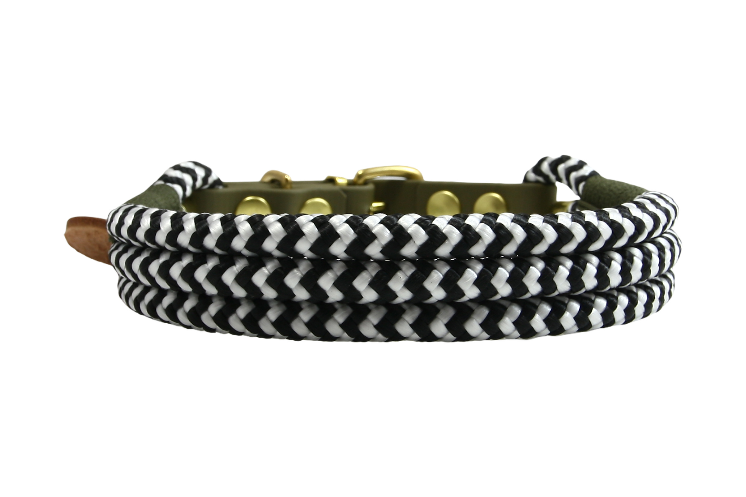 Hundehalsband Zebra Roots