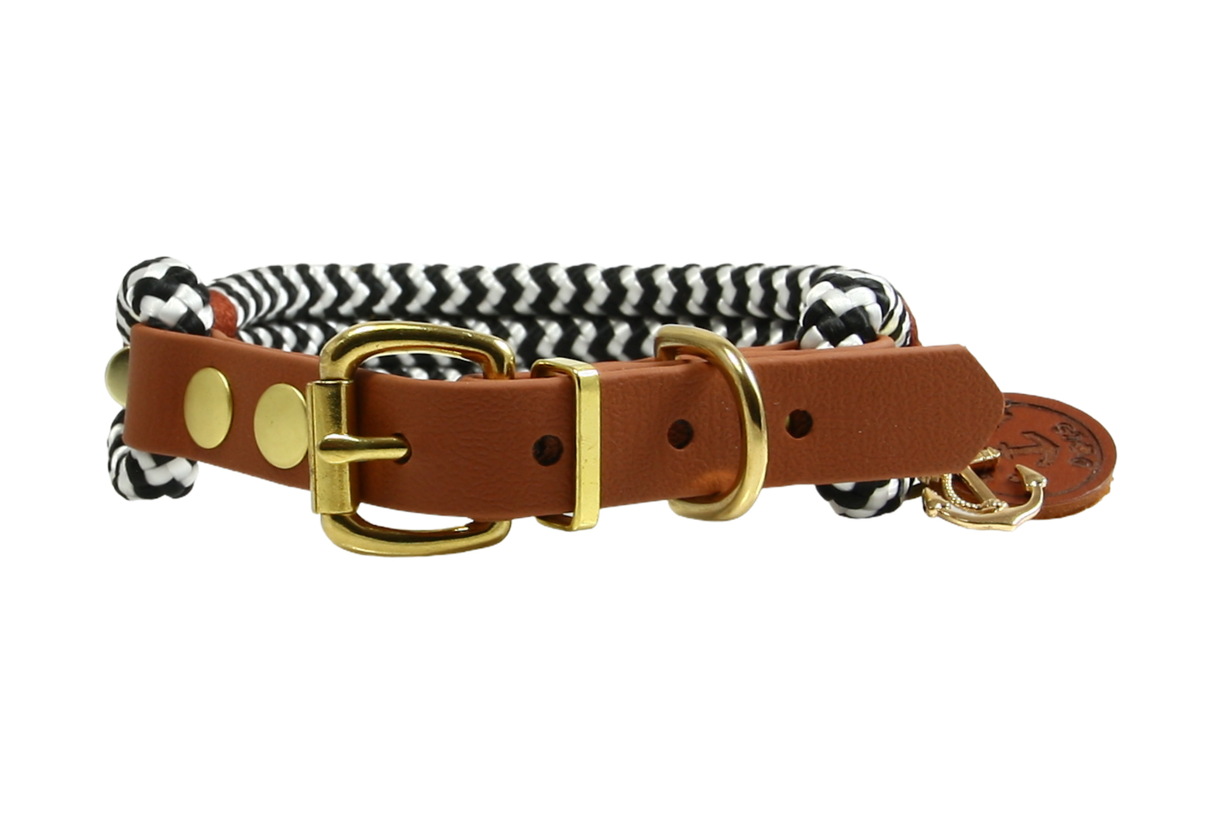Hundehalsband Zebra Spirit