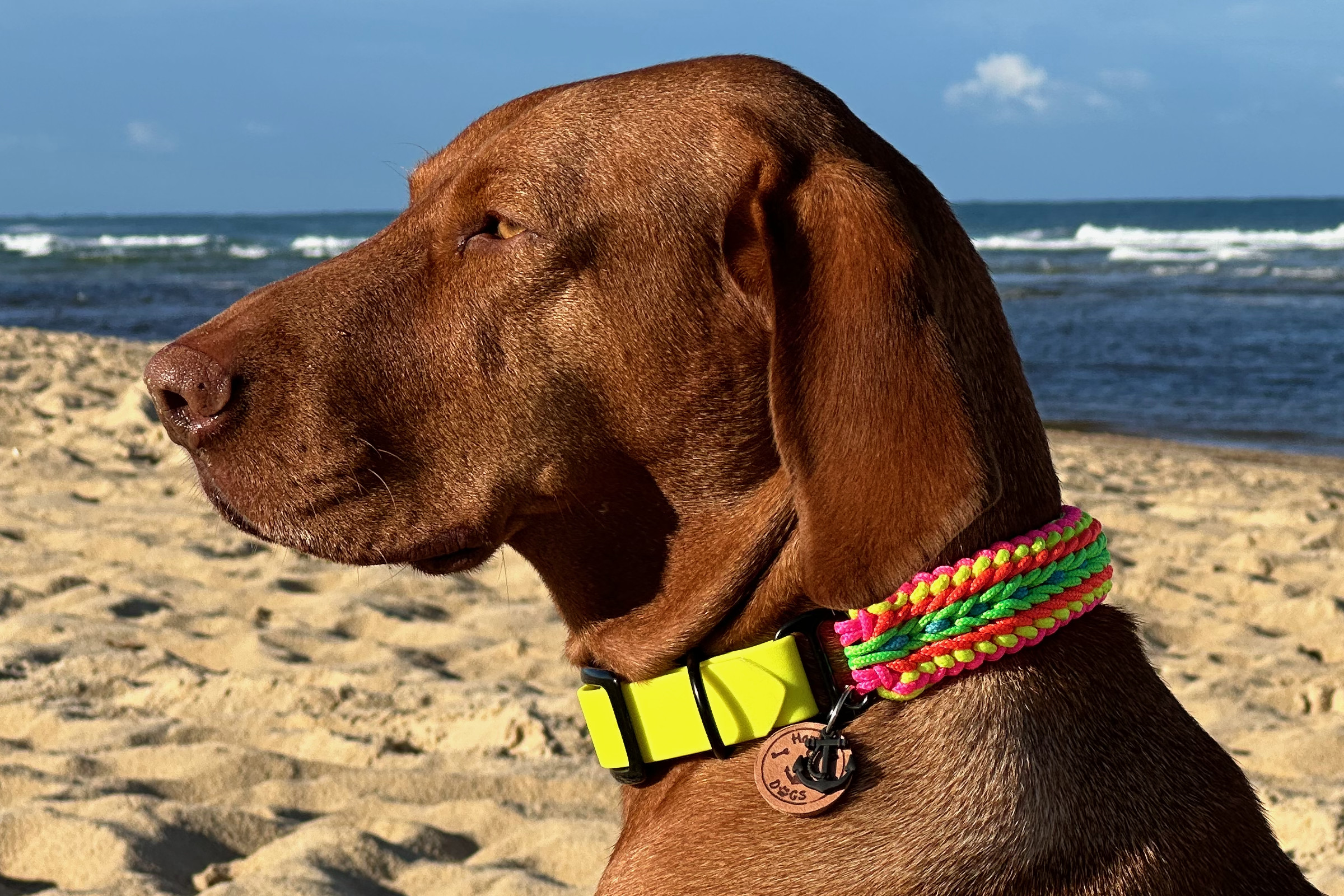 Paracord Hundehalsband Neolette X-III für mittelgroße und große Hunde  
