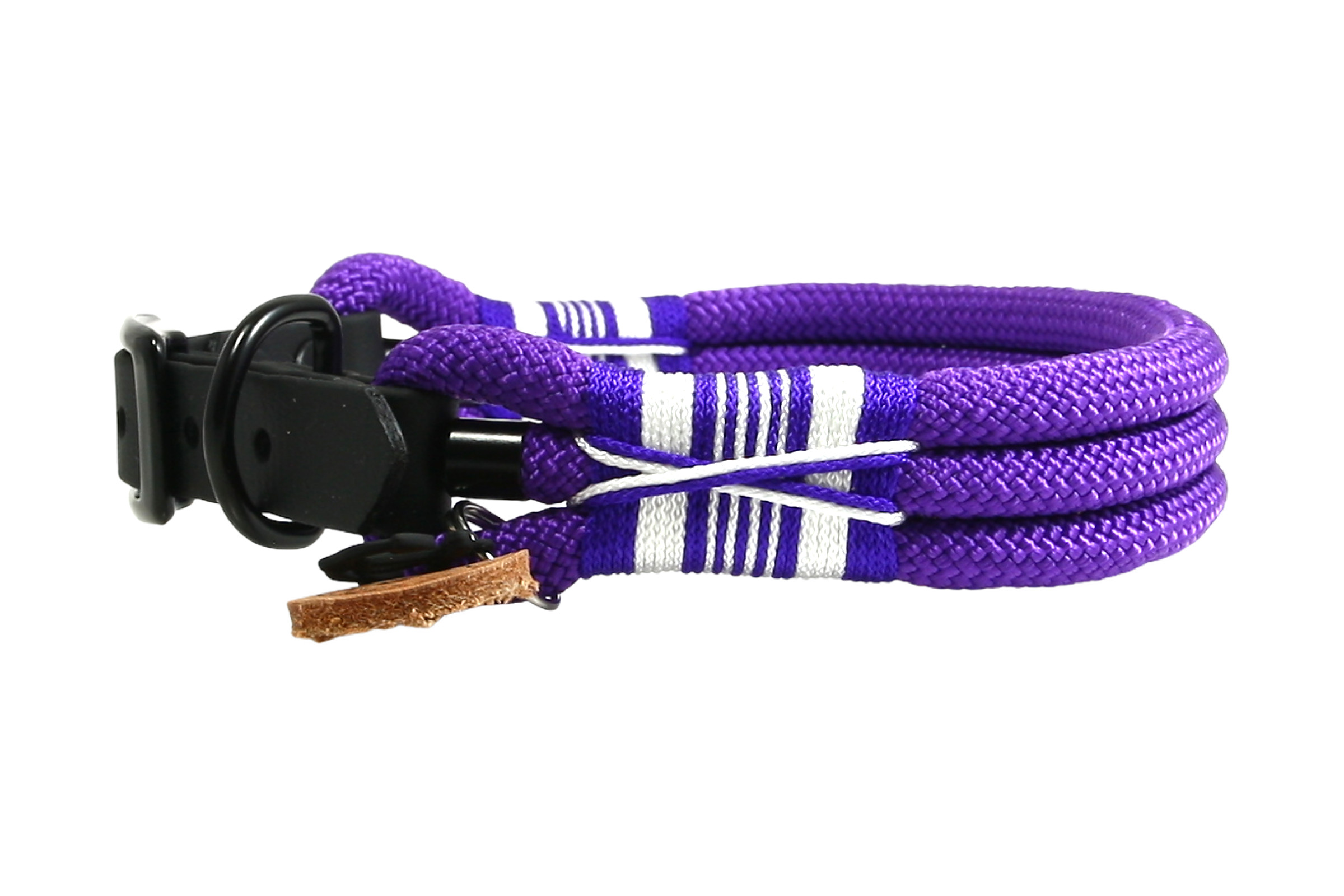 Dogs leash vivid vibes