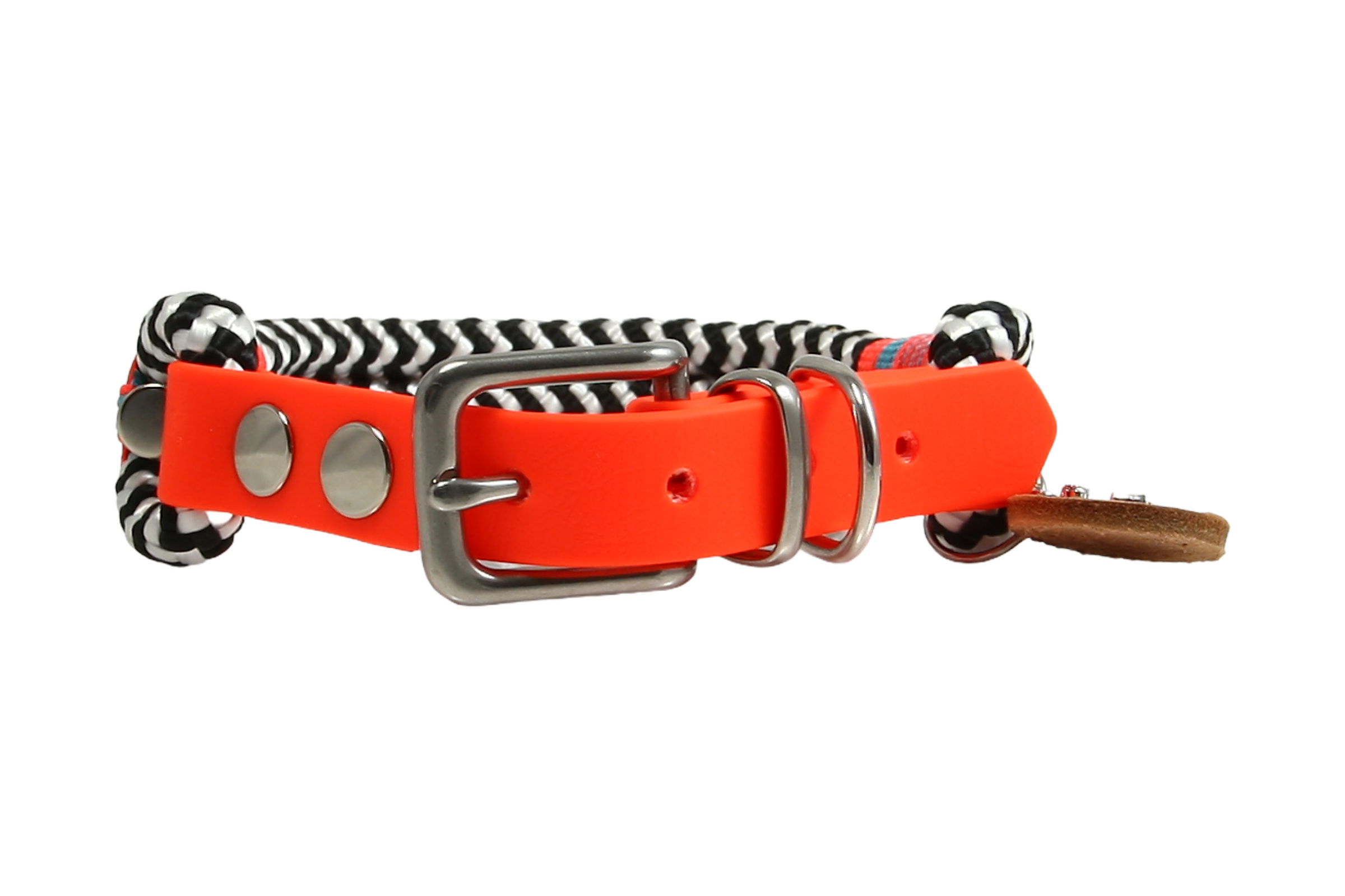 Hundehalsband und Leinen Set Zebra Blaze